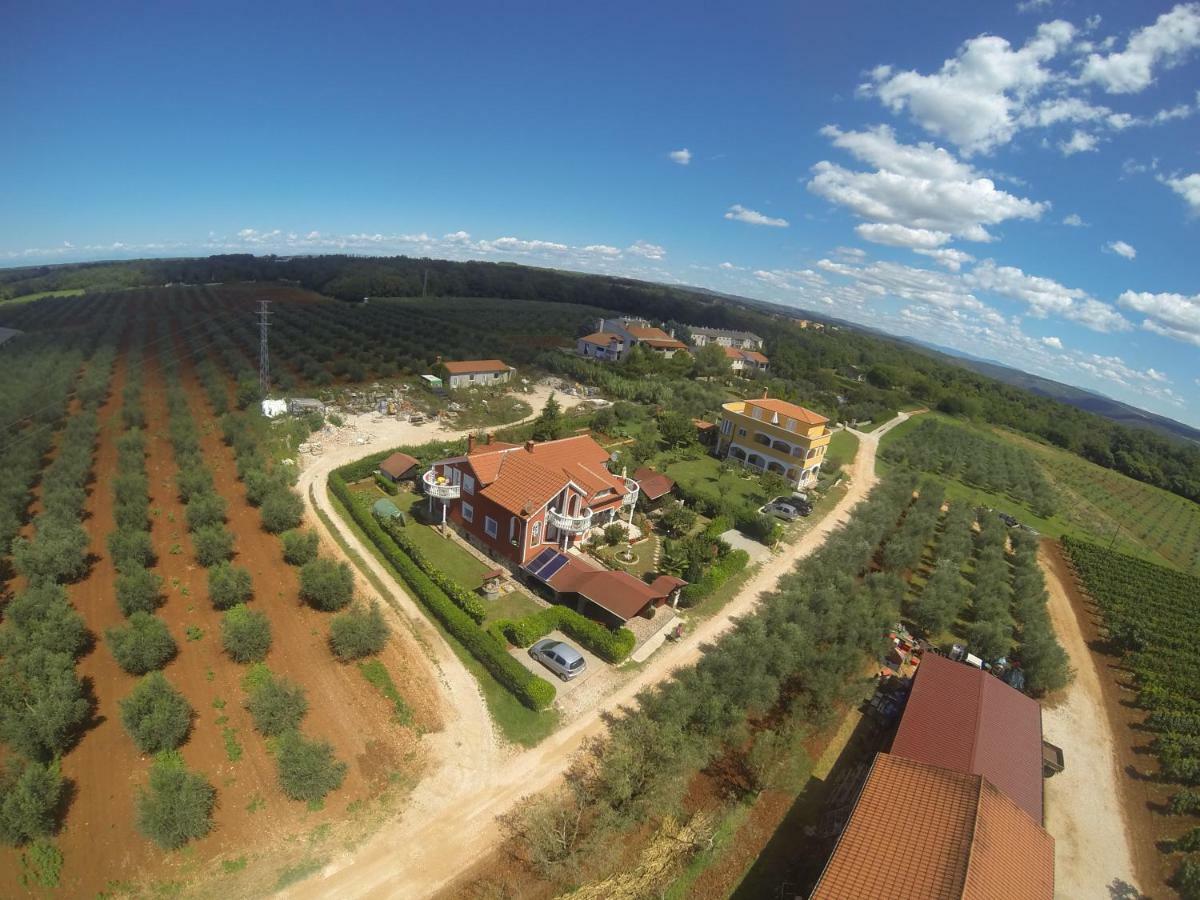 Novigrad Istria Apartma Jelka מראה חיצוני תמונה