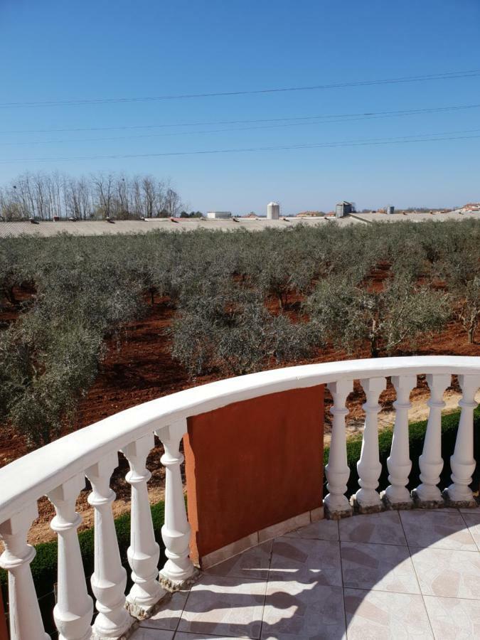 Novigrad Istria Apartma Jelka מראה חיצוני תמונה